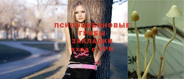 соль курить ск Ладушкин