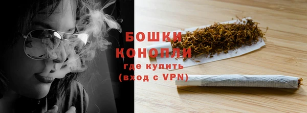 мет Дмитриев